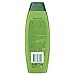 Palmolive Silky Shine Aloe Shampoo by Palmolive