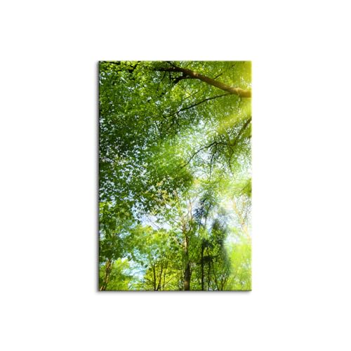 3 ���Z�b�g ���R�̕��i �J�^�G�� �t���[�� �����i �A�[�g�p�l�� �A�[�g�p�l�� �X �΂̕��� �x�����_�G�� ���i�� �X�̗΂̕ǉ� �z�[���C���e���A (50x70cm�i20x28in�j,D)