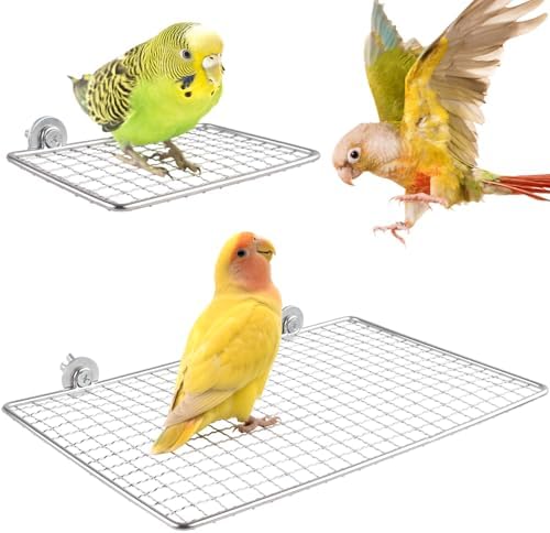best bird perches for quakers that will surprise every owner 7 DBNESS 2 Pcs Bird Perches, Stainless Steel Parrot Perch Platform, Open-Grid Easy Clean Parakeet Stand, Durable Rust-Resistant Birdcage Accessories for Budgie, Cockatiel, Green Cheek, Quaker, Hamster