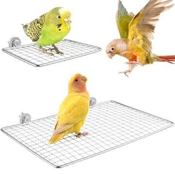 Stainless Steel Bird Perches That Will Transform Your Aviary Experience 2 stainless steel bird perches