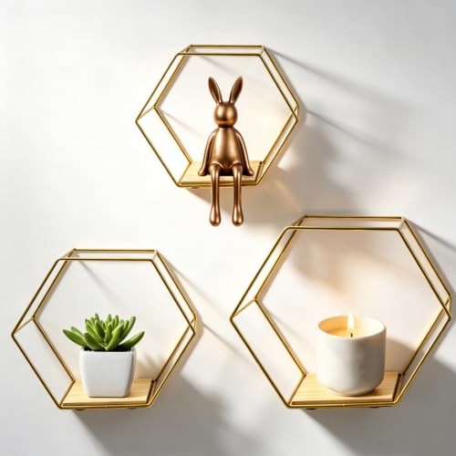 CXYNDFA Gold Hexagon Floating Wall Shelves 3 Pack