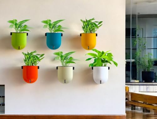 Image of Indian Discovery Self Watering Wall Hanging Planter|Hanging /Hooked Flower Pots for Home, Balcony, Vertical Garden Decor Flower Pots(6 PC, Multi-Color, Sphere)|6 Inch UV-Resistant Plastic Plant Pots