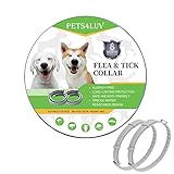 CONTENIDO DEL PAQUETE: 2 * collares para perros con estuche sellado y 1 manual de usuario en la caja de lata, más nuestra promesa de garantía de 12 meses y un servicio al cliente amigable.