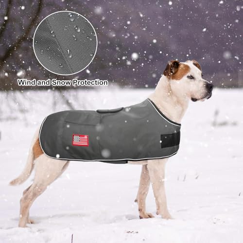 Image of BEAUTYZOO Dog Winter Coat for Medium Dogs, Waterproof Oxford Canvas Jackets | Warm Fleece Great Dane Sweater, Reflective Cold Weather Coats, Windproof Blanket Clothes for Female Male Doggie, Grey M