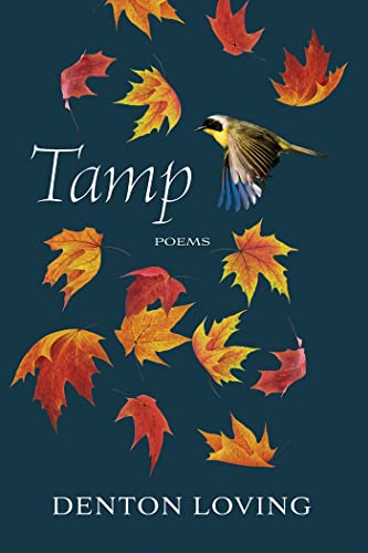 Produktfoto von Tamp: Poems