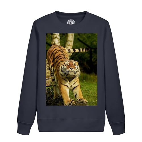Sweatshirt enfant tigre fauve pull col rond imprimé animalier relax