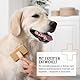 ReaVET Fell & Haut Tabletten Hunde 120 Stück - sekundierend bei Fellproblemen, Dermatose & Haarausfall Hund, Fell Tabletten für Hunde, Unterstützung der Hautfunktion
