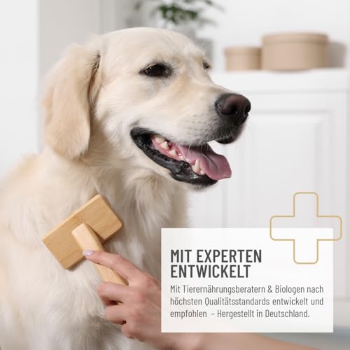 ReaVET Fell & Haut Tabletten Hunde 120 Stück - sekundierend bei Fellproblemen, Dermatose & Haarausfall Hund, Fell Tabletten für Hunde, Unterstützung der Hautfunktion