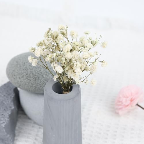 Set de 50 flores secas naturales de Gypsophila para decoración miniatura 5
