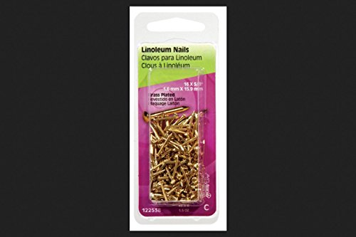 Hillman 5/8 in. L Binding Brass-Plated Steel Nail Smooth Shank Flat