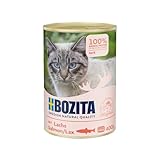 Bozita