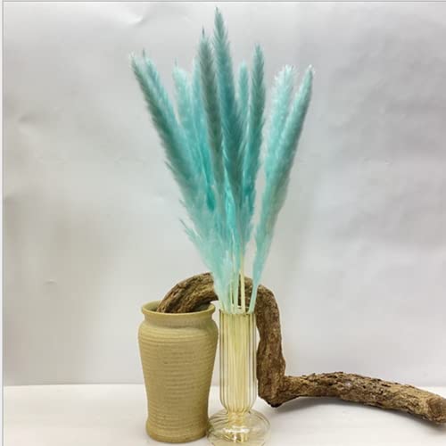 Natural Hay 30 Stems Blue Pampas Grass, 17” Pampas Grass Decor, Dried Pampas Grass Plants Boho Decor, Home Decor #TOP4