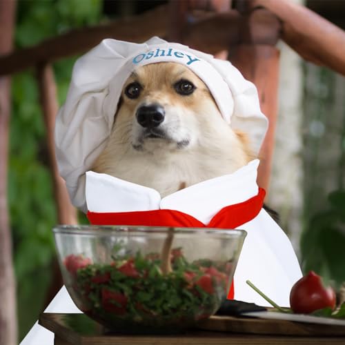Sombrero de Chef Personalizado para Perro Bordado miniatura 6