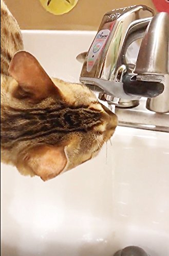 iTouchless EZ Faucet PRO Automatic Sensor Faucet Adapter for Hygienic Bathroom, Kitchen Sink, Office, also use as Cat Fountain and Pet Water Dispenser - Thumbnail 6