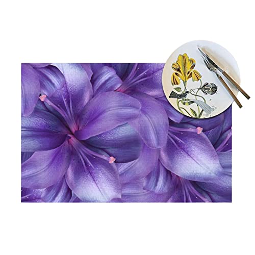 Set de table violet fleur de lys lot de 4 lavables 30x45 cm - 5