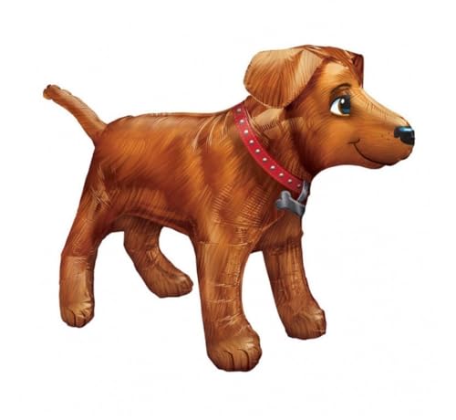 Golden Dog - UltraShape