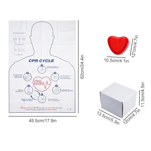 Modèle RCR pour instructeurs de premiers secours avec torse anatomique - 4