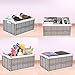 Livememory 2 Pack Foldable Crates, 31 Liters Plastic Milk Crate Storage Bin for Home, Laundry, Clothes(17.76x 12.01 x 9.29 in)