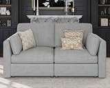 Kalafini Oversized 2 Seater Modular Sectional Sofa, Gray Loveseat Luxury Sectional Couches for Living Room, Solid Wood Frame Sofa, Removable Washable Cover, Deep Seat Couch