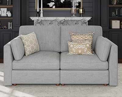 Kalafini Oversized 2 Seater Modular Sectional Sofa, Gray Loveseat Luxury Sectional Couches for Living Room, Solid Wood Frame Sofa, Removable Washable Cover, Deep Seat Couch