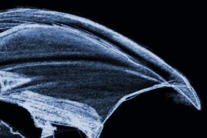 The Best Wingman: Full Story