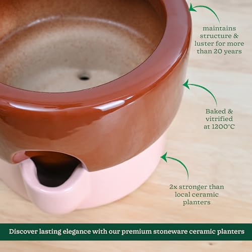 Image of UGAOO Flower Sunflower Ceramic Planter for Plants | Flower Pot for Living Room, Indoor Decor (Terracotta-Pink, Medium)