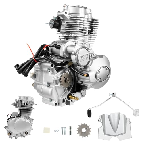 200CC/250CC 4 Stroke ATV Engine Motor Kit, 14HP Dirt Bike/ATV Engine Single Cylinder Air-Cooled Vertical Engine Motor with Manual 5-Speed Transmission Fits for Dirt Bike ATV