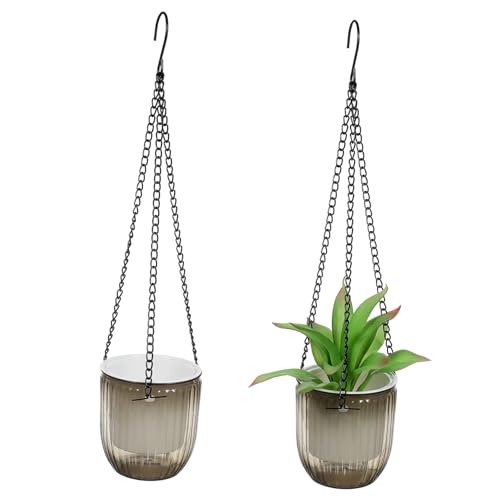 HEMOTON 2pièces Jardinières Suspendues à Arrosage Automatique Pots De Fleurs Suspendus avec Suspension pour Plantes Intérieur Paniers Suspendus pour Plantes Jardinières pour