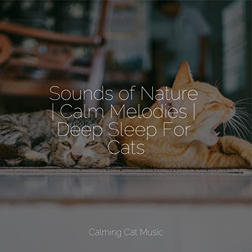 Play Sounds of Nature | Calm Melodies | Deep Sleep For Cats by Music ...