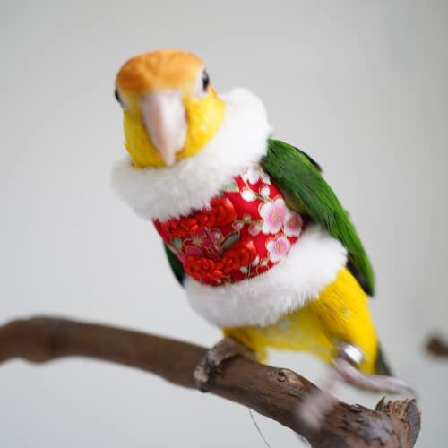 Image of Bird Costume Bird Flight Suit Bird Clothes Cosplay Photo Prop for Parrots Parakeet Cockatiel Sun Conure, Bird Hoodie Small Animals Apparel (Black, Large)