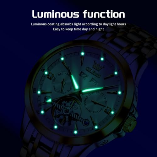 Image of OLEVS Automatic Watches for Men Luxury Skeleton Multi-Function Mechanical Watch Self Winding Date Waterproof Luminous Mens Watch