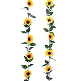 Egal, ob Sie nur 7 Füße für den Tisch benötigen, 14 Füße drapieren über einen Türrahmen oder 28 Füße für den Hochzeitsbogen benötigen, diese Girlande hat Sie bedeckt. Verwenden Sie einfach mehrere Girlanden zusammen, um die gewünschte Länge zu schaffen.