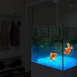 Shalwinn B07WQWG295 lato 4