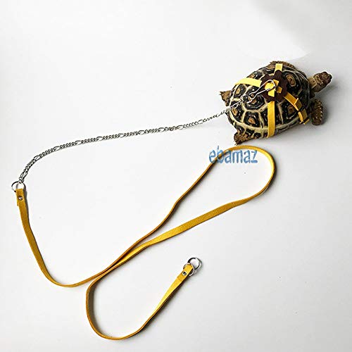 Ebamaz Leder Geschirr für Schildkröte mit Leine und Brusthalsband (Größe M)