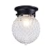 Truelite Industrial Antique Style Plantation Collection Flush Mount Ceiling Light Prismatic Glass Globe Light Fixtures