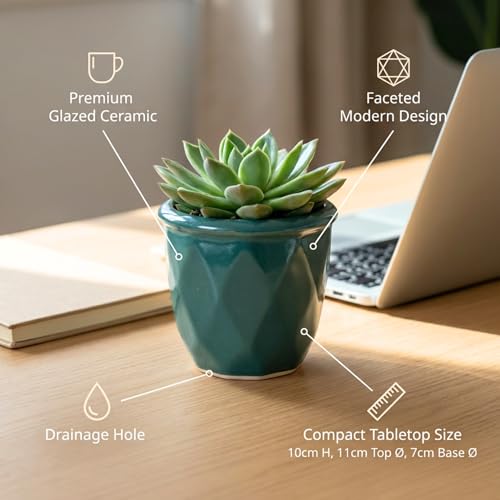Image of ecofynd 4 Inch Ceramic Plant Pots with Drainage Hole, Modern Decorative Clay Flower Pots for Indoor Plants, Home Garden Decor for Living Room, Bedroom & Interior Spaces (CPOT043-DGN)