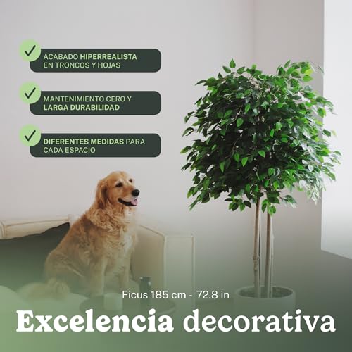 Miniatura 6 de Maia Shop Ficus Artificial Plantas Artificiales Decorativas Medidas: 190 X 100 Cm Planta Artificial Grande Planta Artificial Realista Decoración
