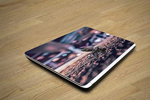 Image of 5 Ace HD Groot Laptop Skin, for 10 to17inch for Dell, Lenovo, Acer, HP, Sony,Apple,MacBook (Multi Color,Vinyl)