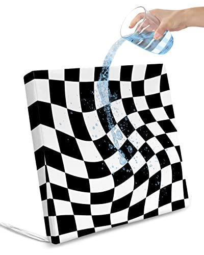 Edwiinsa Black White Indoor/Outdoor Seat Cushions Cover, Geometric Checkered Flag Modern Abstract Dizz Waterproof Patio Chaise Lounge Cushion Cover for Beach Pool Side Chair Cushions 20''x18''x2pcs