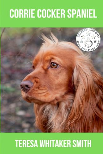 Corrie Cocker Spaniel