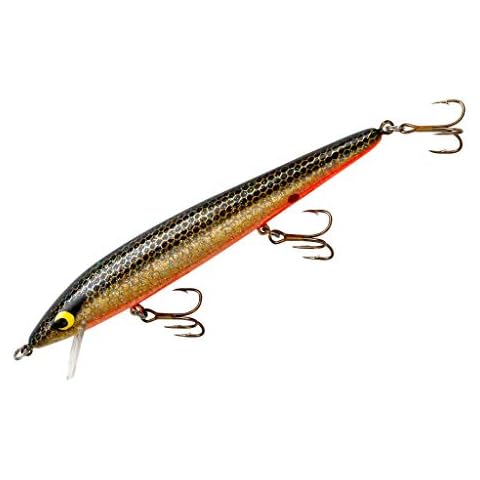 Smithwick Floating Rattlin' Rogue Fishing Lure - Bream - 0-2 ft Cranking Depth Cover