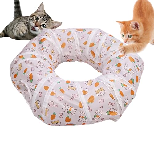 Tunnel pour chats interactif comme cadeau d'anniversaire de chaton