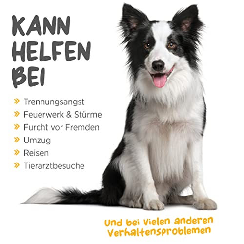 Beruhigungsmittel für Hunde von Maxxipaws Maxxicalm