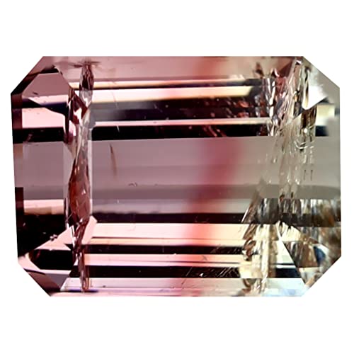 Tourmaline Mozambique bicolore naturelle de 8.64 ct, pierre précieuse en vrac de 13x9 mm