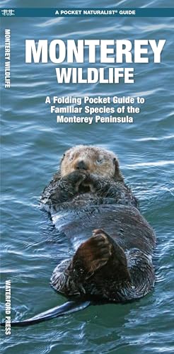 Monterey Wildlife: A Folding Pocket Guide to Familiar Species of the Monterey Peninsula (Wildlife and Nature Identification)