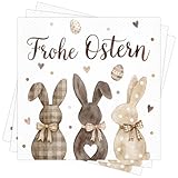 DPKOW 40 Stk Osterservietten 33x33cm, Frohe Ostern Servietten Hase Ostertisch Deko, Hasenservietten Osterhasen Papierservietten Einwegservietten Oster Servietten Frühling Ostern Party Zubehör