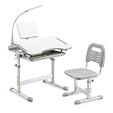 Diroan Kids Functional Desk and Chair Set