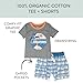 HonestBaby 2 Piece Baby Toddler Short Sleeve and Shorts Set for Girls, Boys, Unisex, Surf Shop Plaid, 2T
