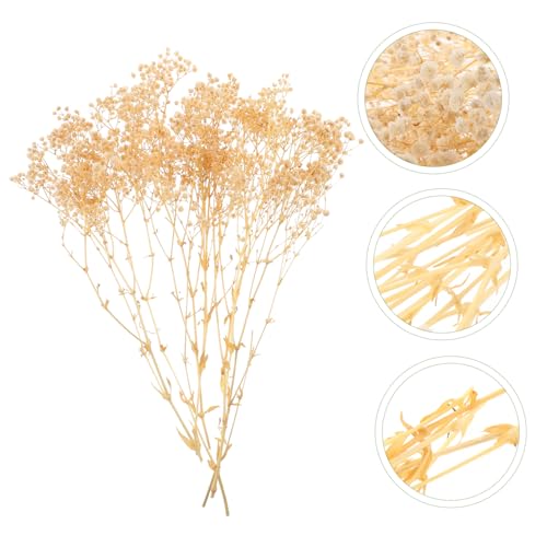 Ramo de flores secas Babysbreath blanco preservado miniatura 4