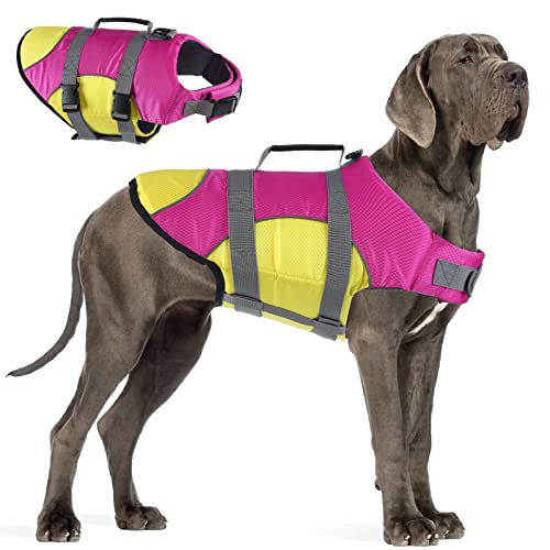 Best Life Jacket For Great Danes